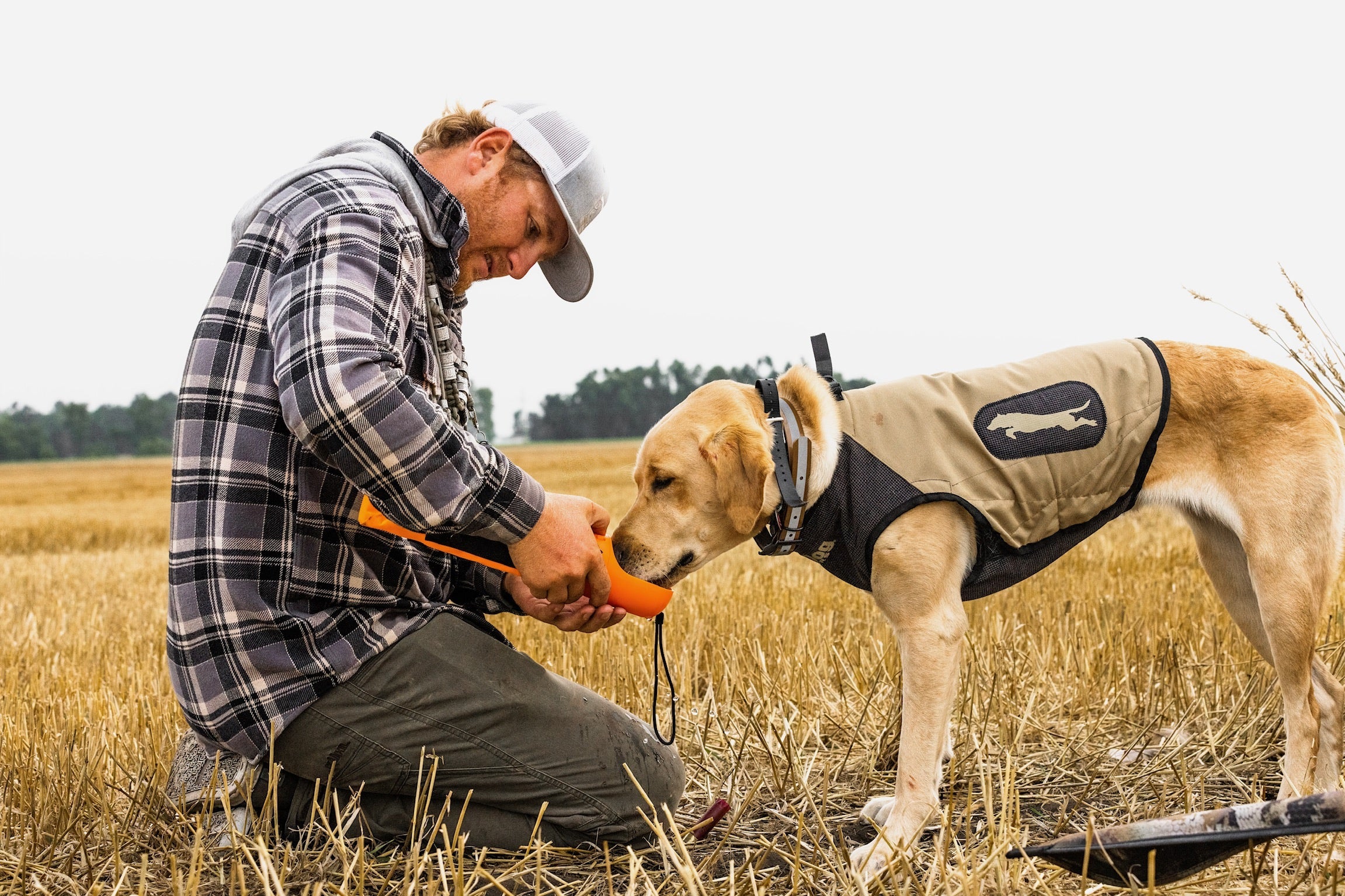Food and Watering Systems