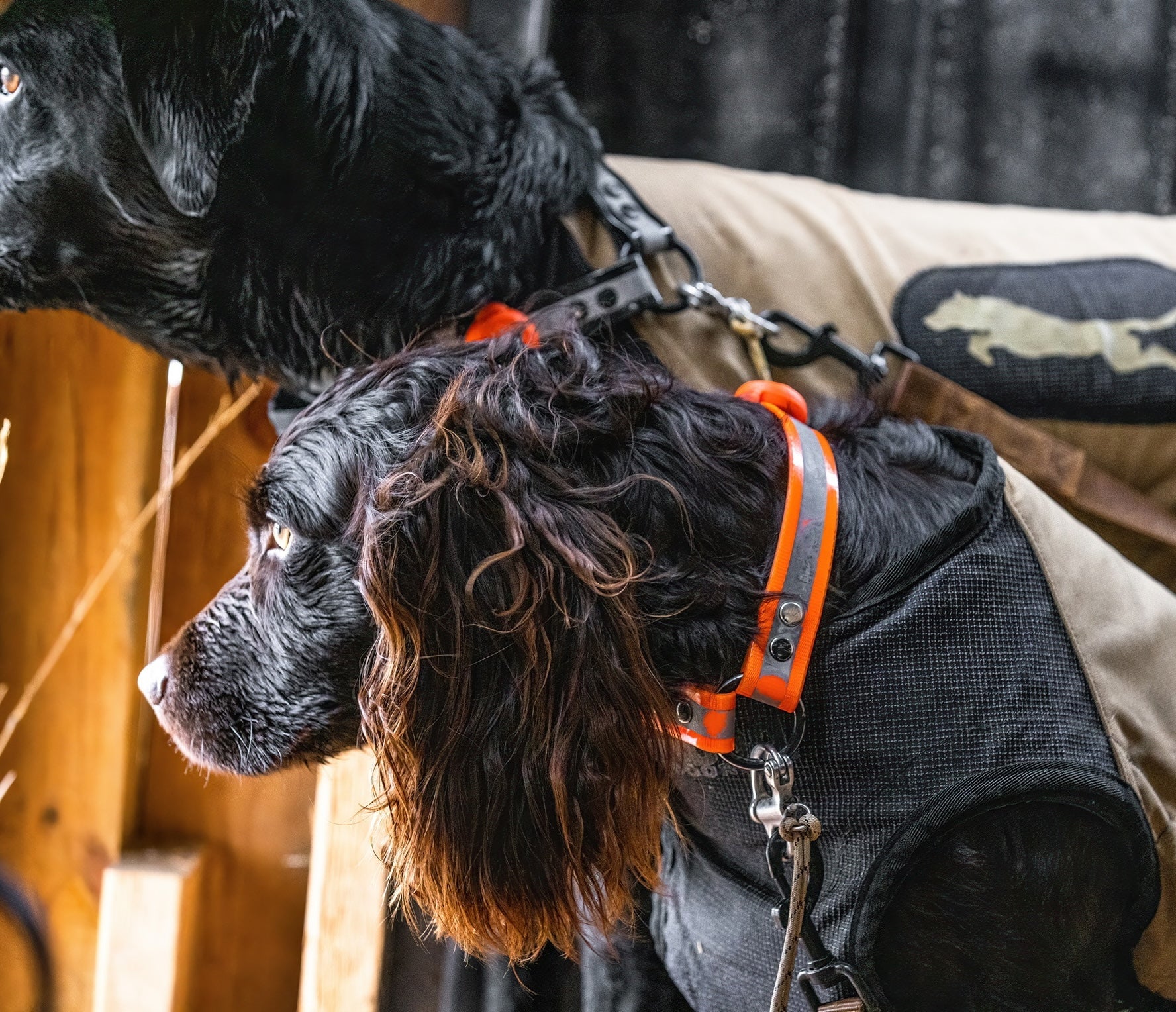 Quick Release Systems