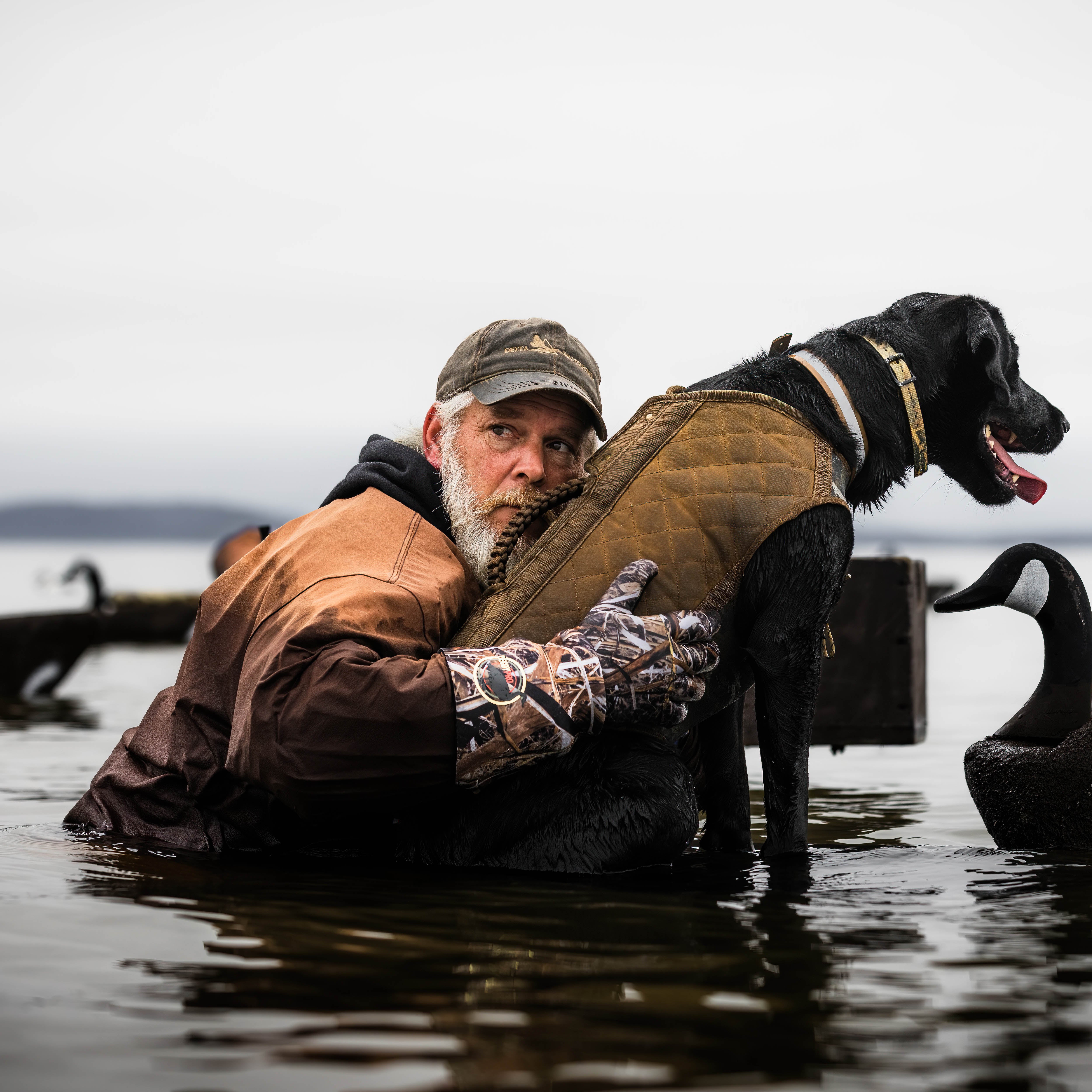 Gun Dog Care