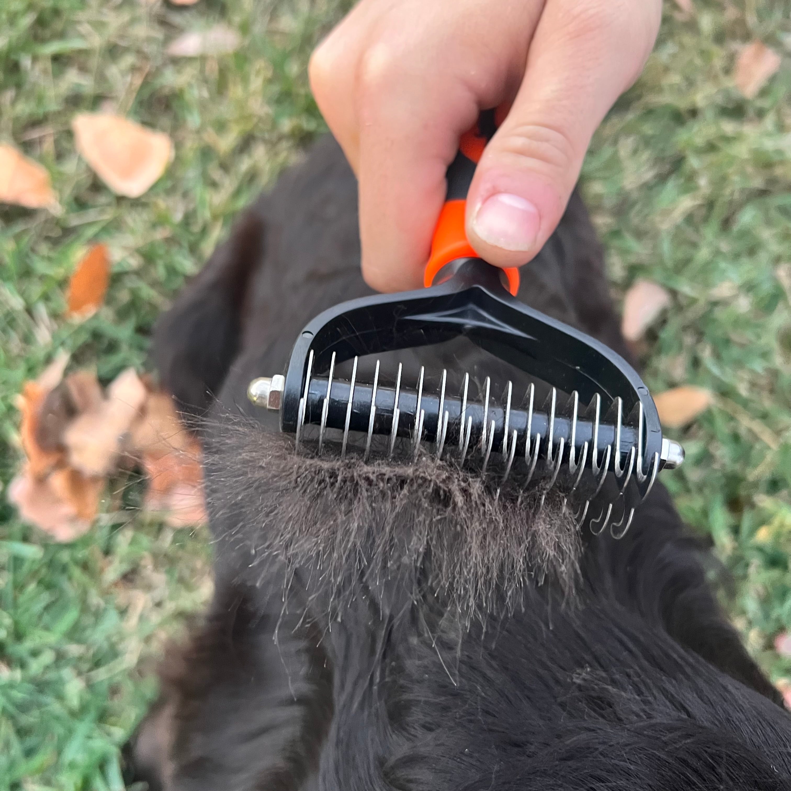 GunDog Rake Brush