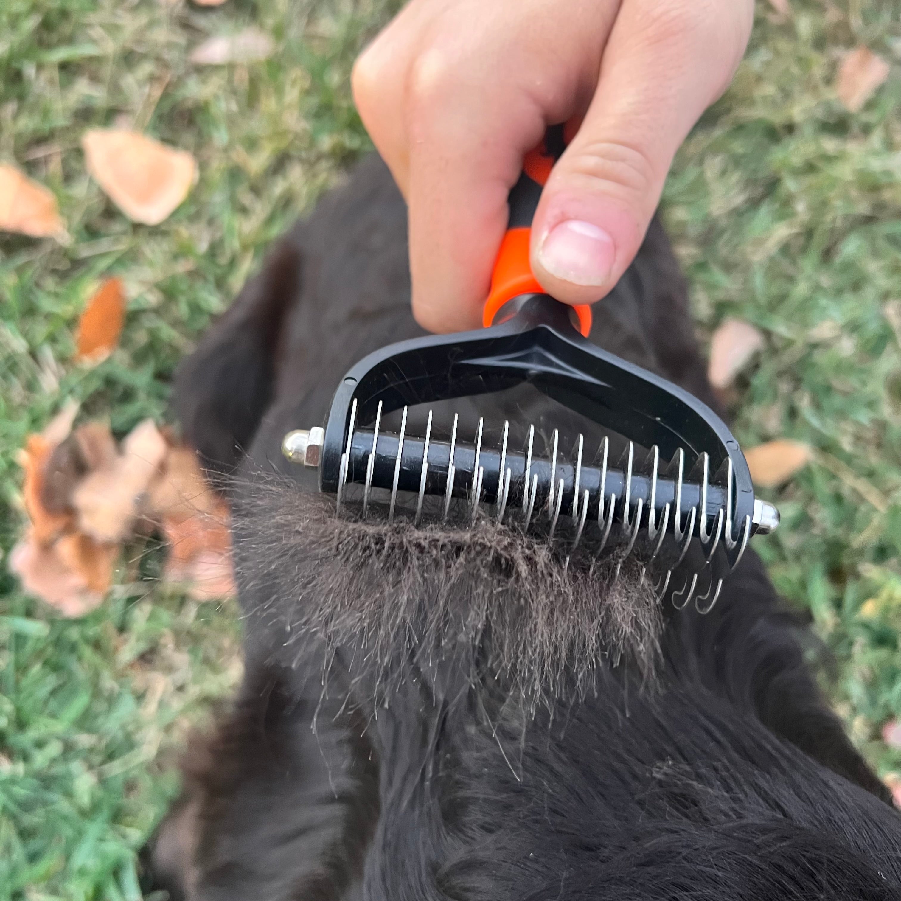 Rake Brush