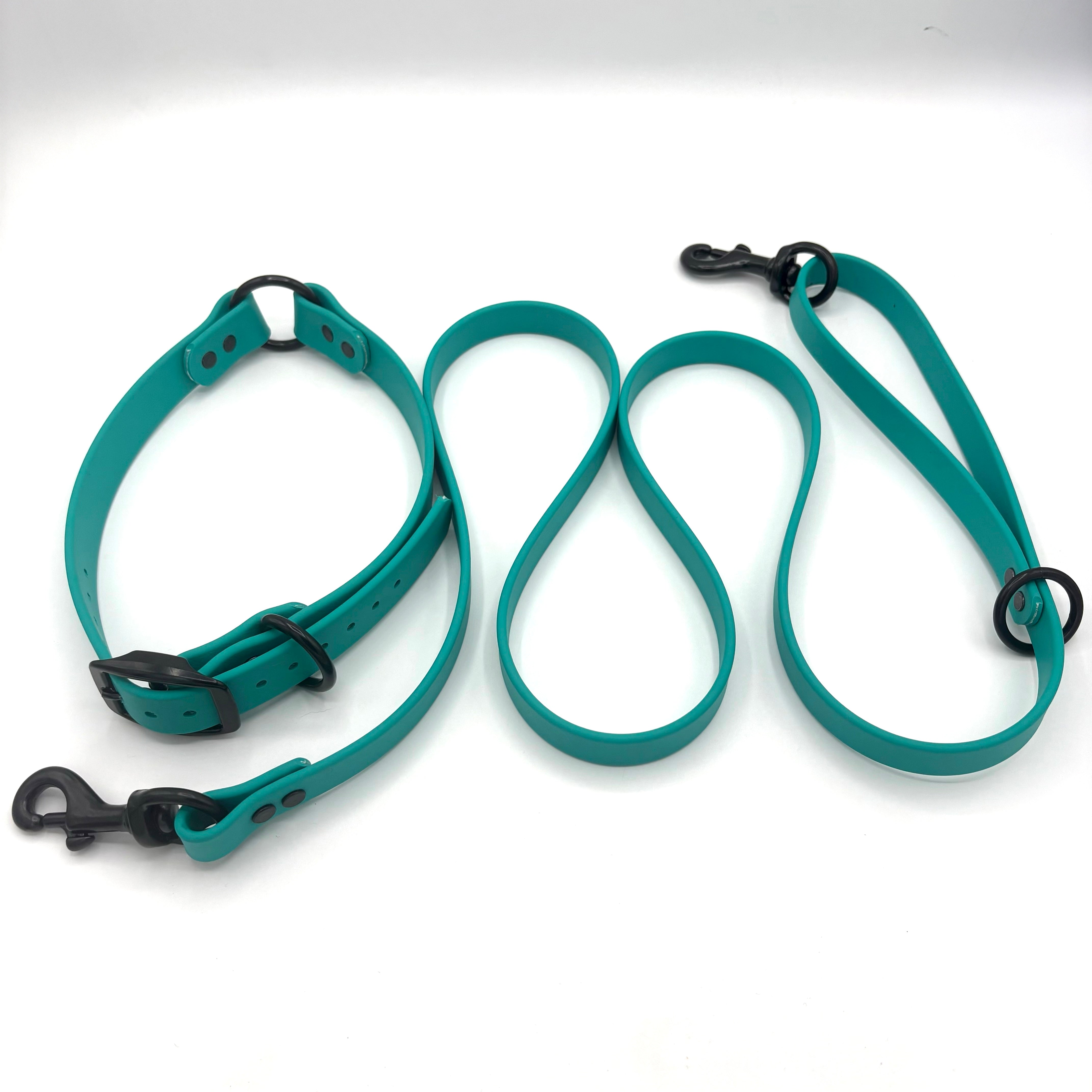 GDO BioThane Collar/Lead Combo