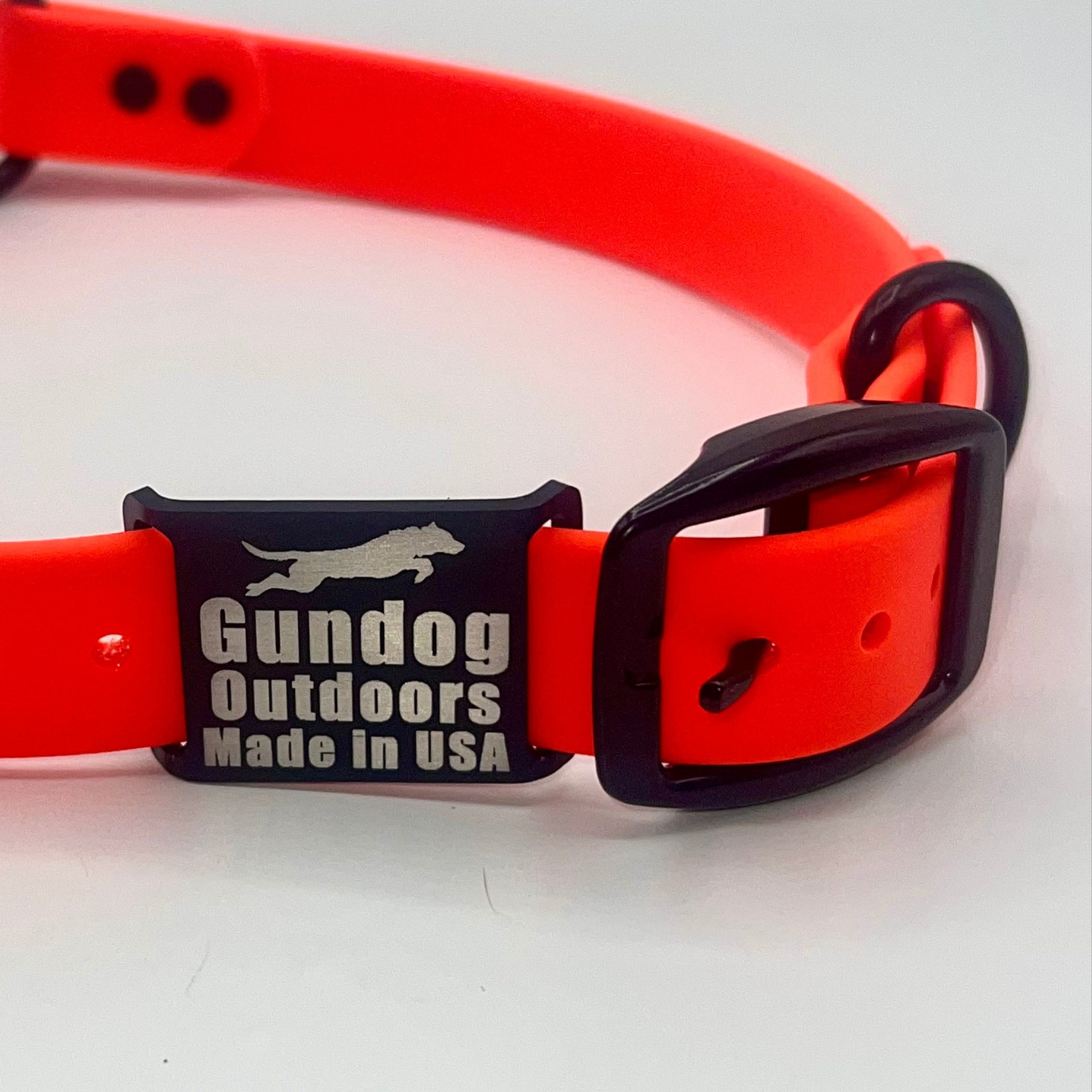 Blaze Orange Collar w/Dawg Tag