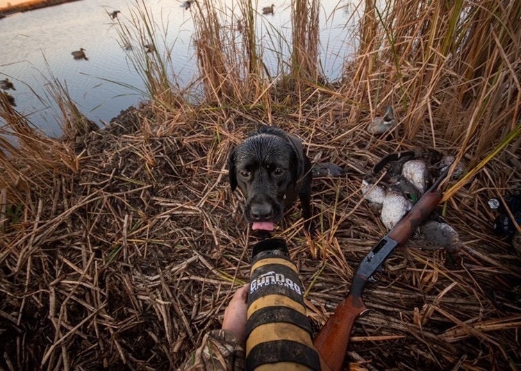 GunDog Outdoors