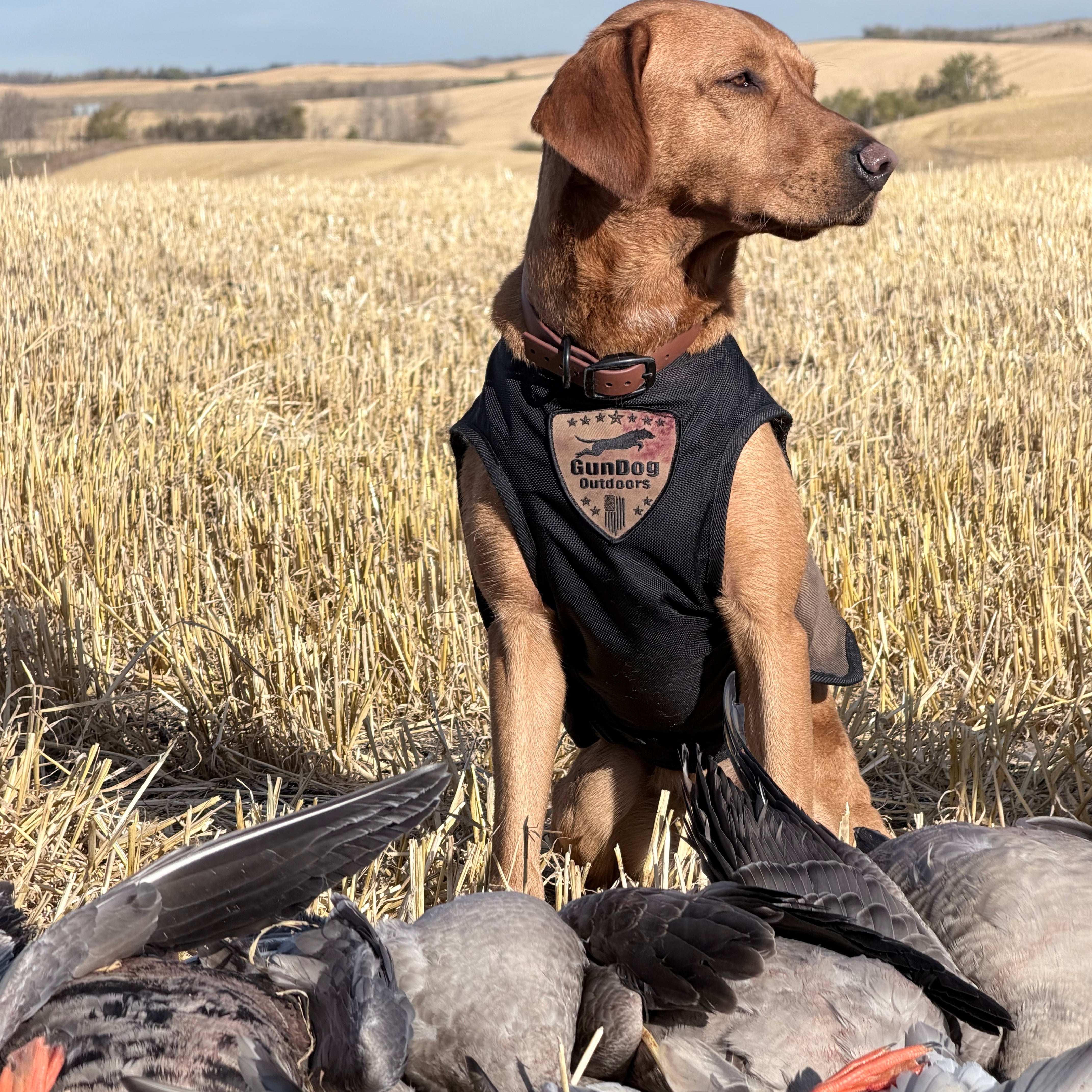 Waterfowl Defender Vest