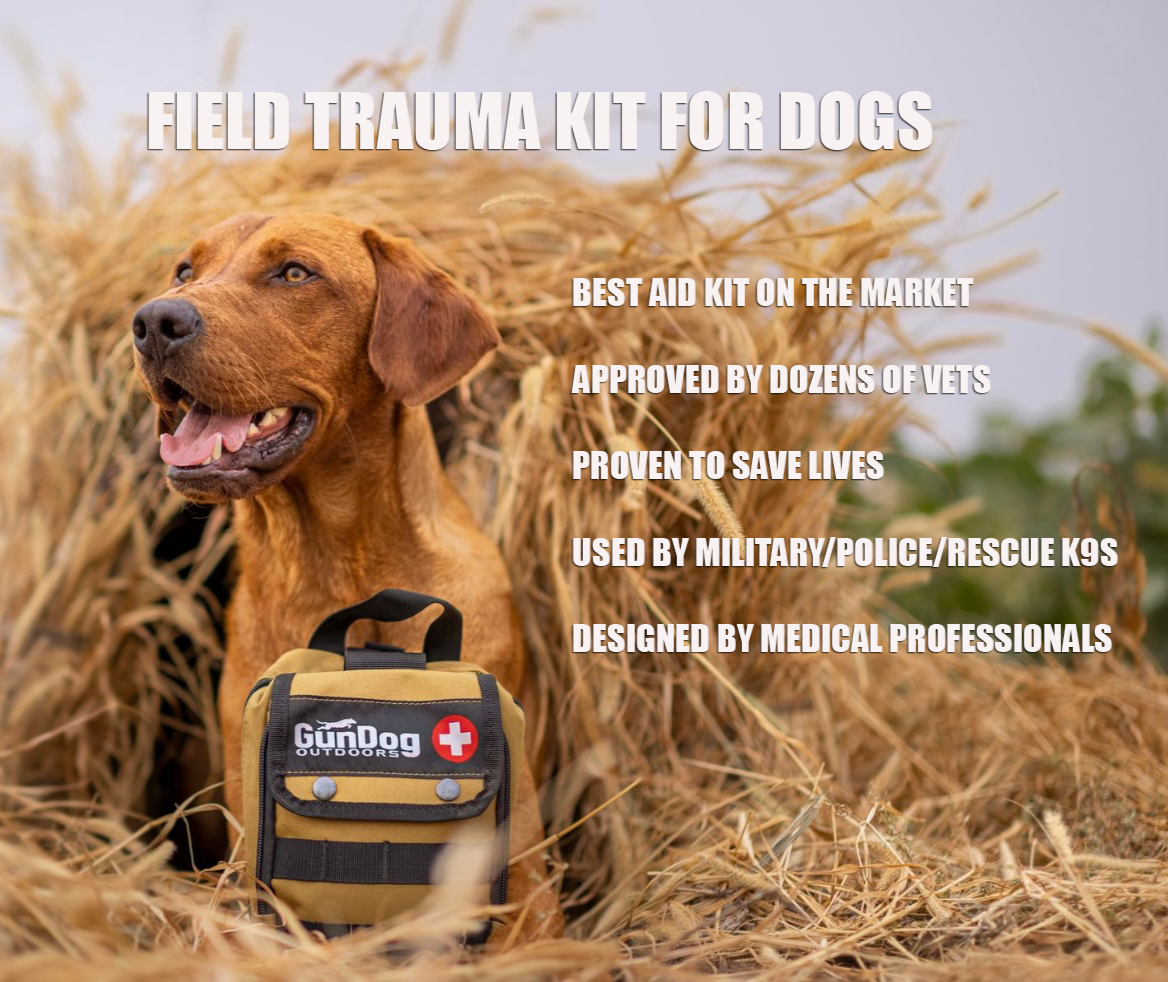 Bird dog first aid kit hotsell