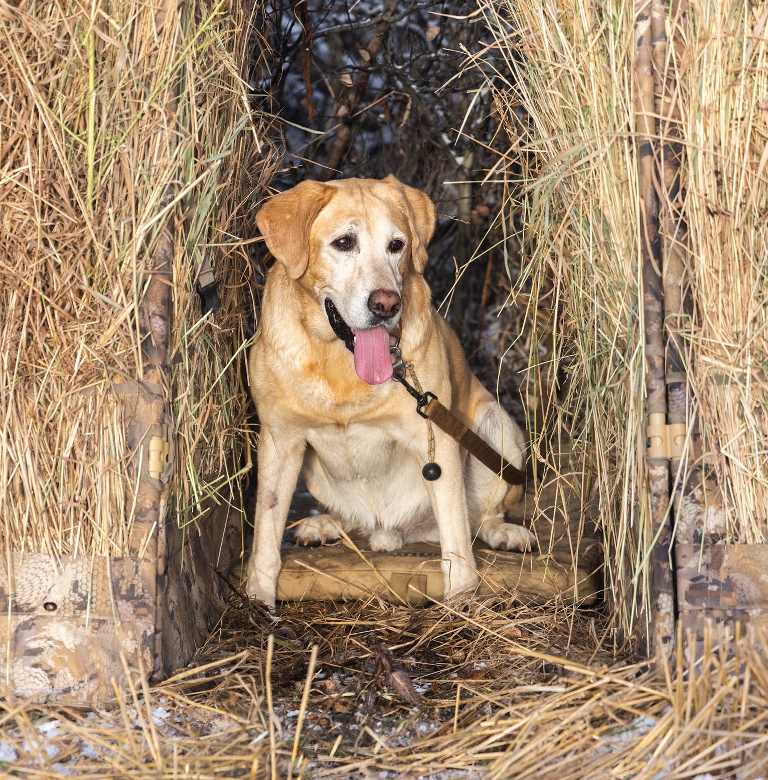 GunDog Outdoors