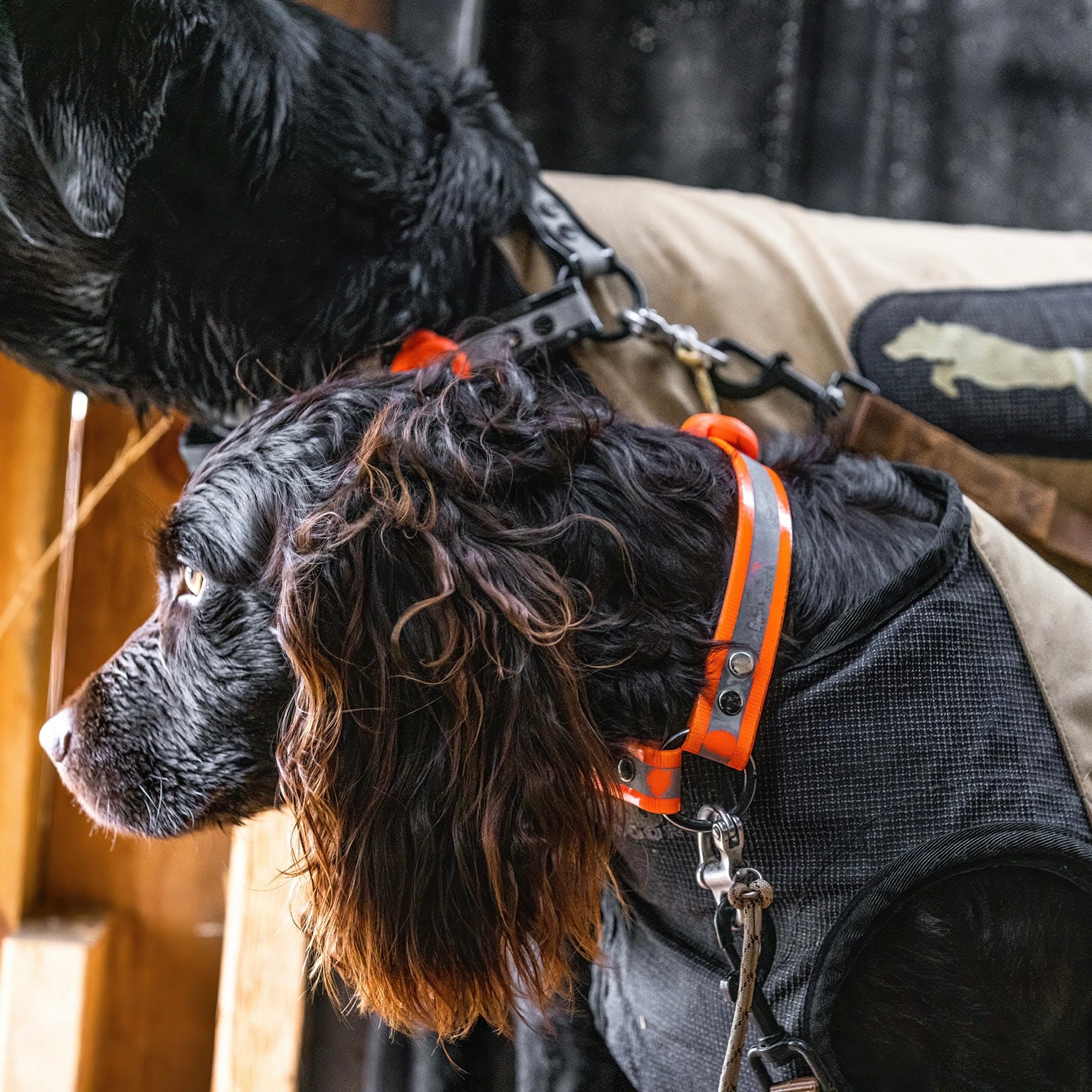 GDO Quick-Release Safety System