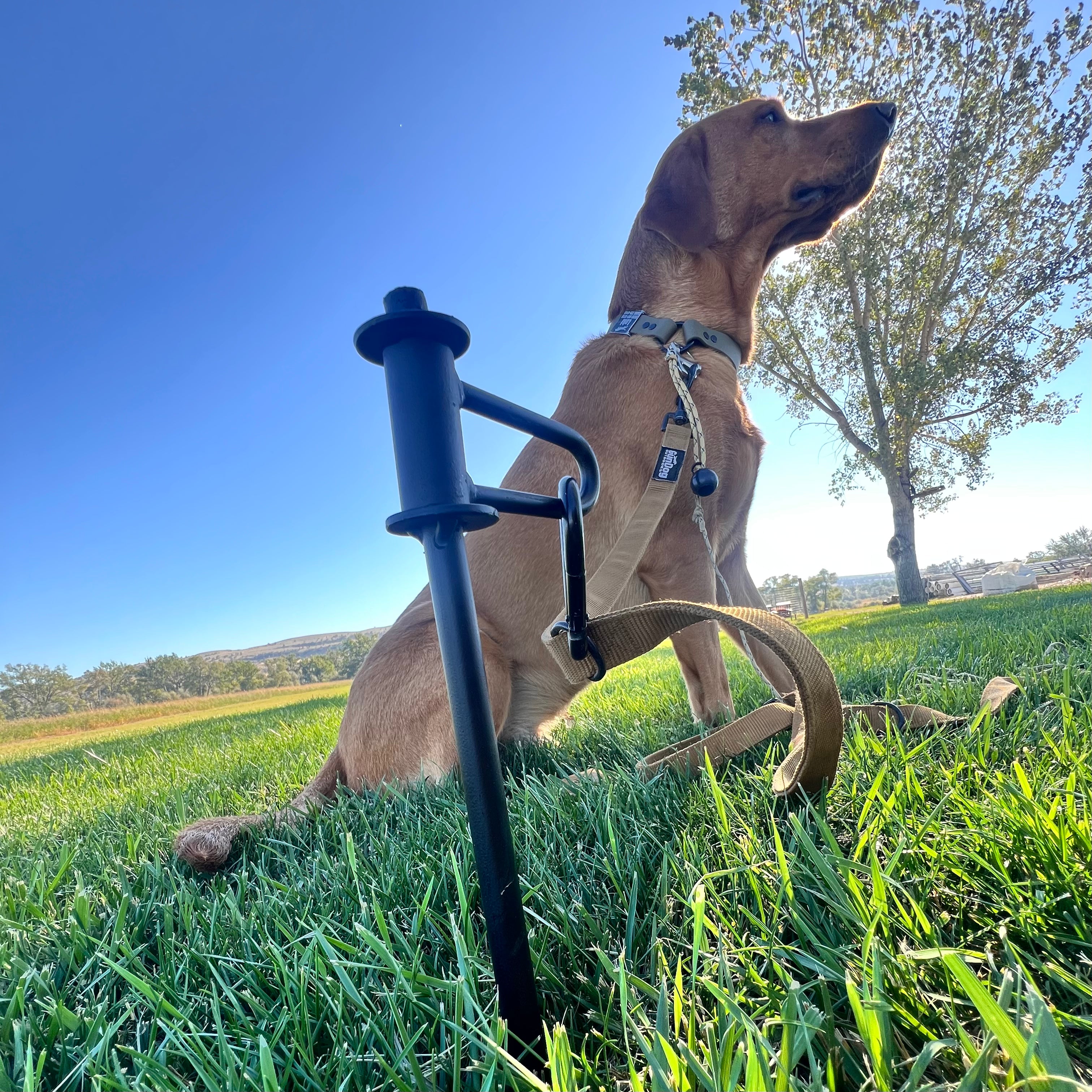 Ground Stake