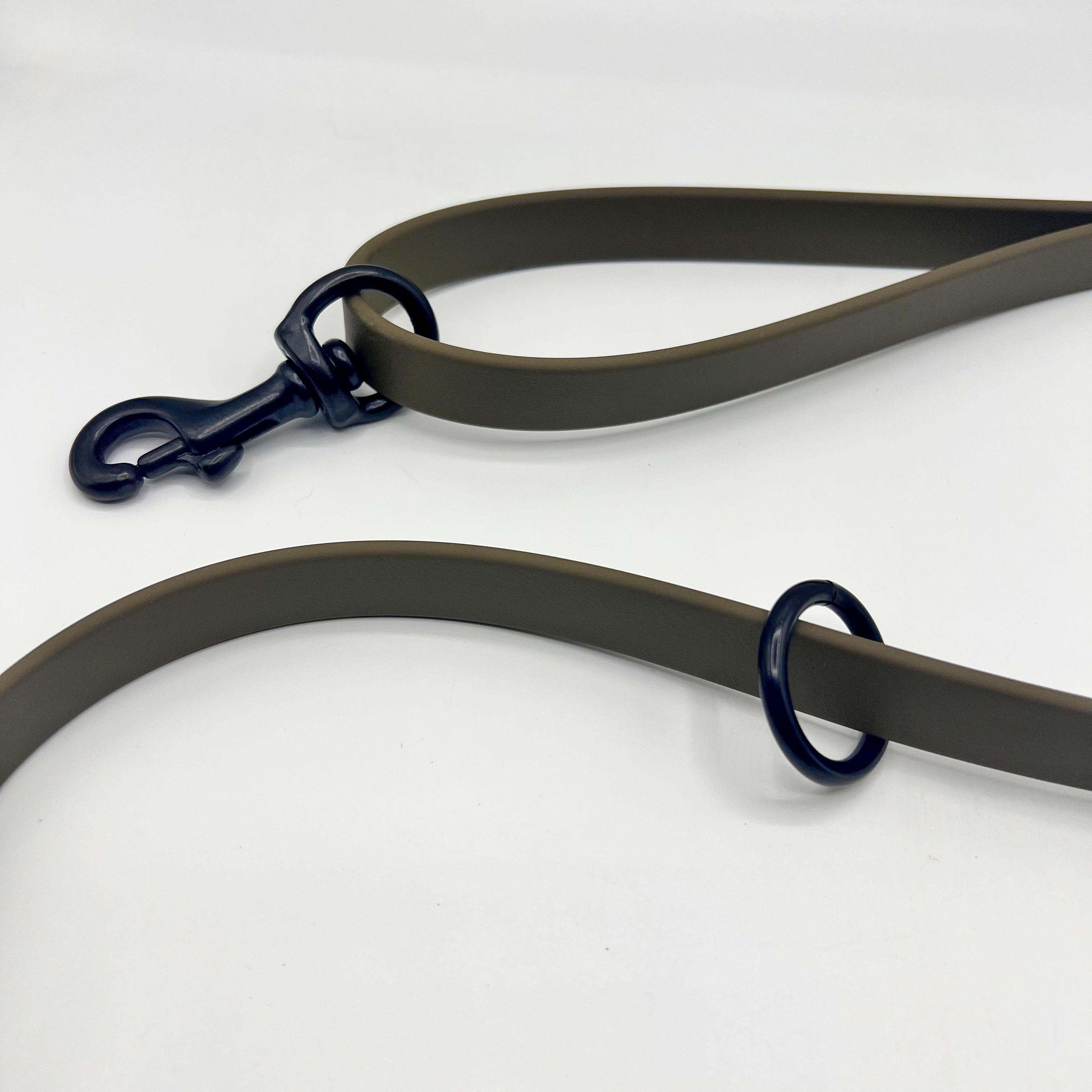 Leads/BioThane