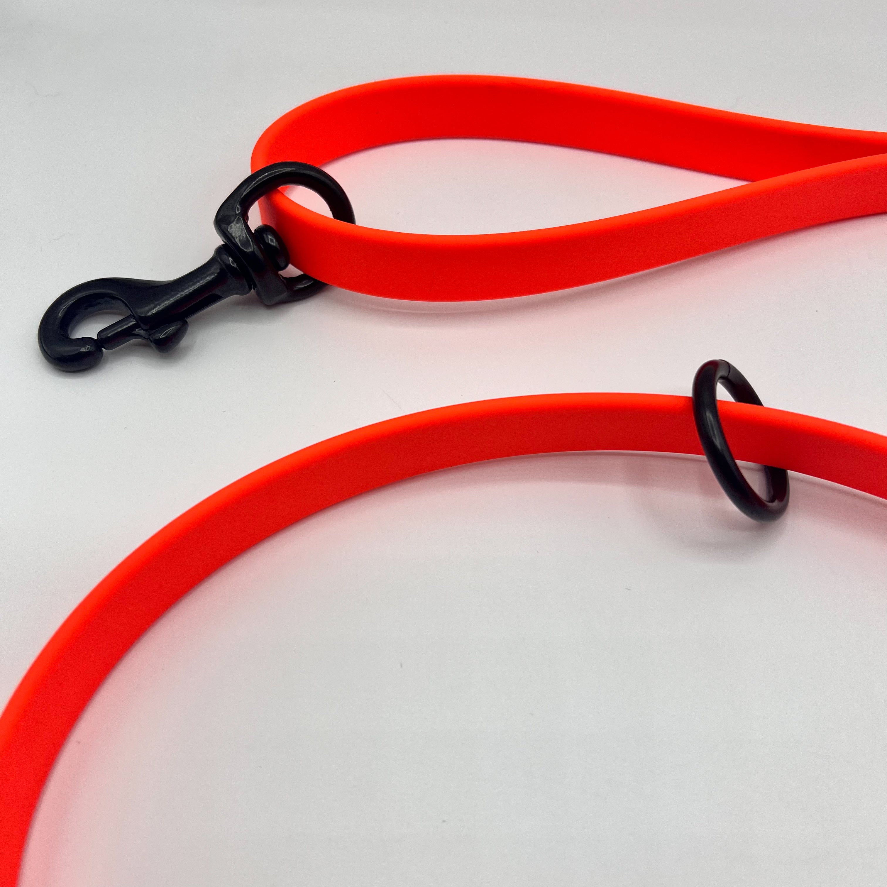 Leads/BioThane
