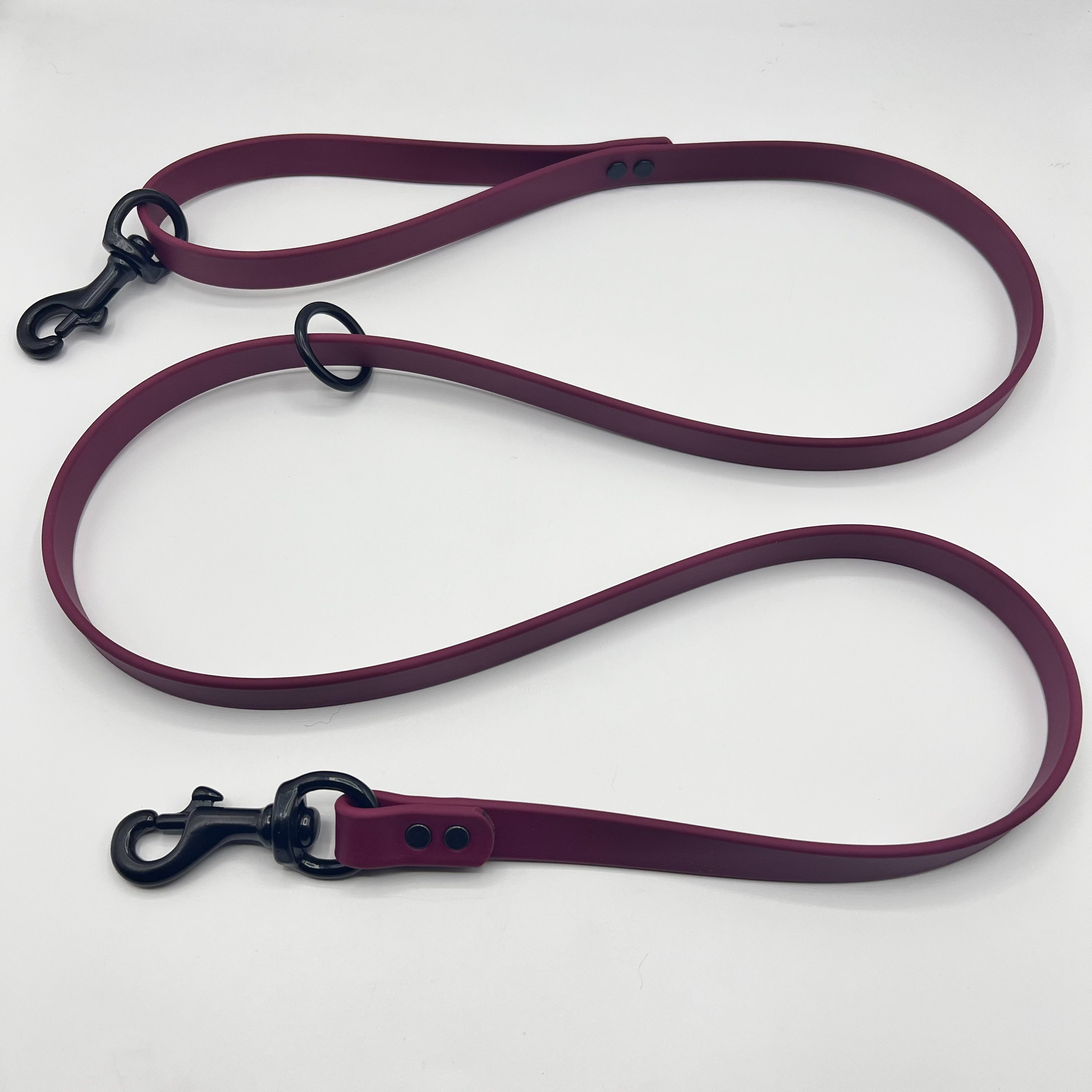 Leads/BioThane