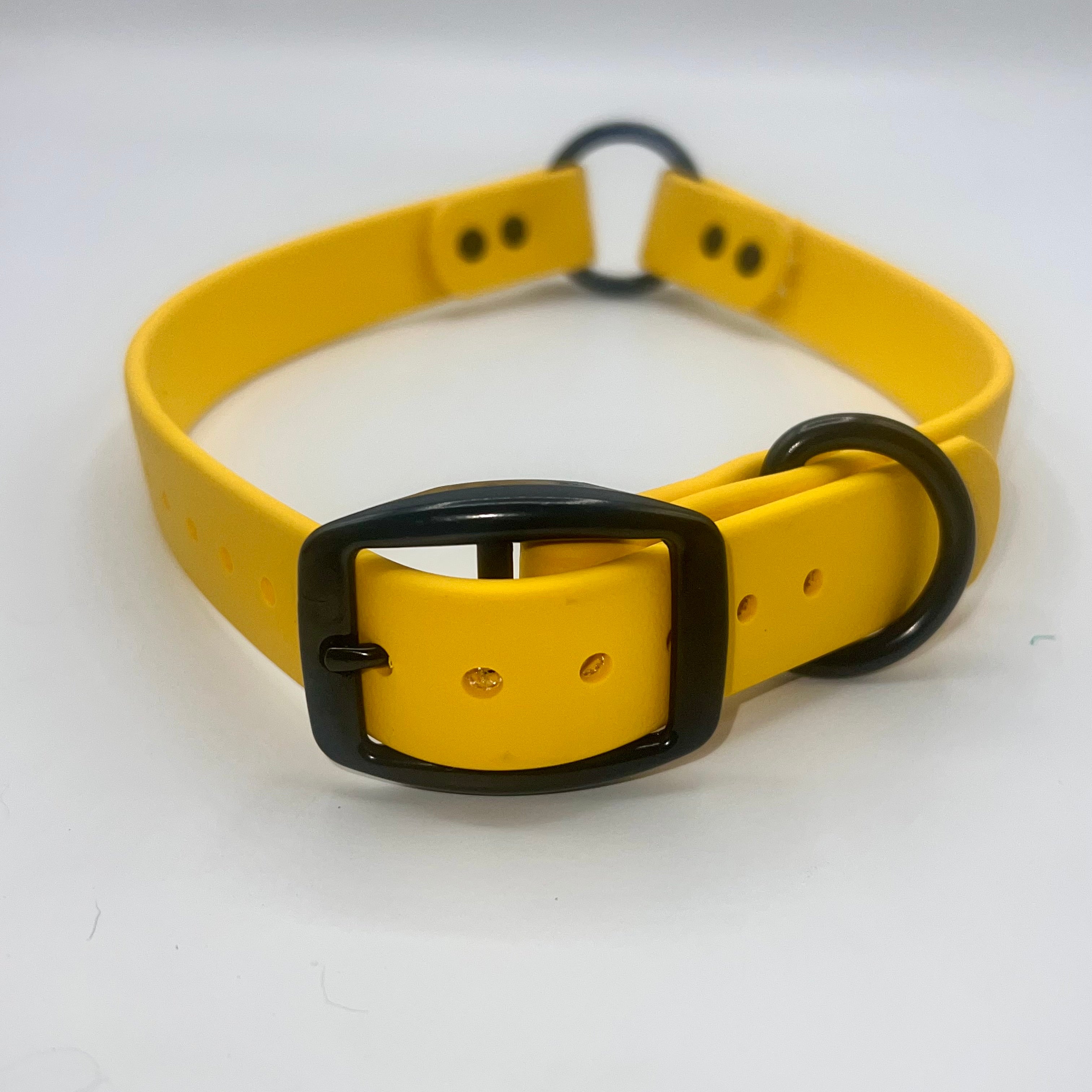 GDO BioThane Collars with DAWG Tag