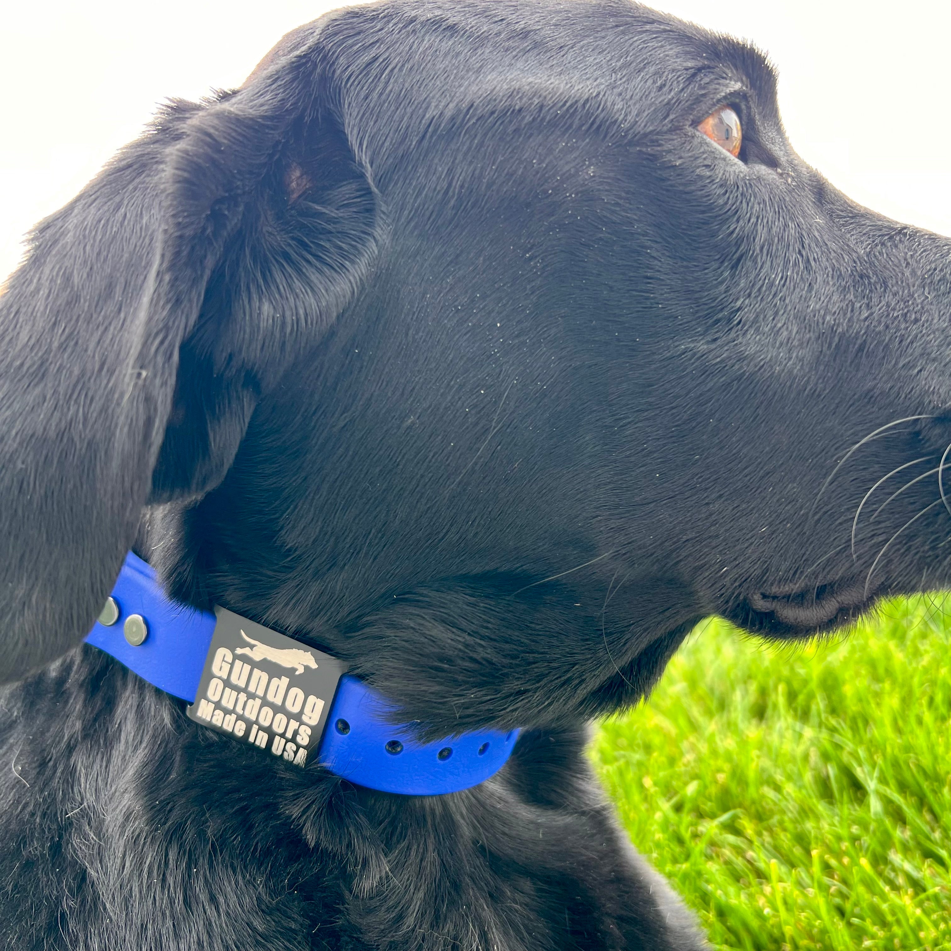 GDO BioThane Collars with DAWG Tag