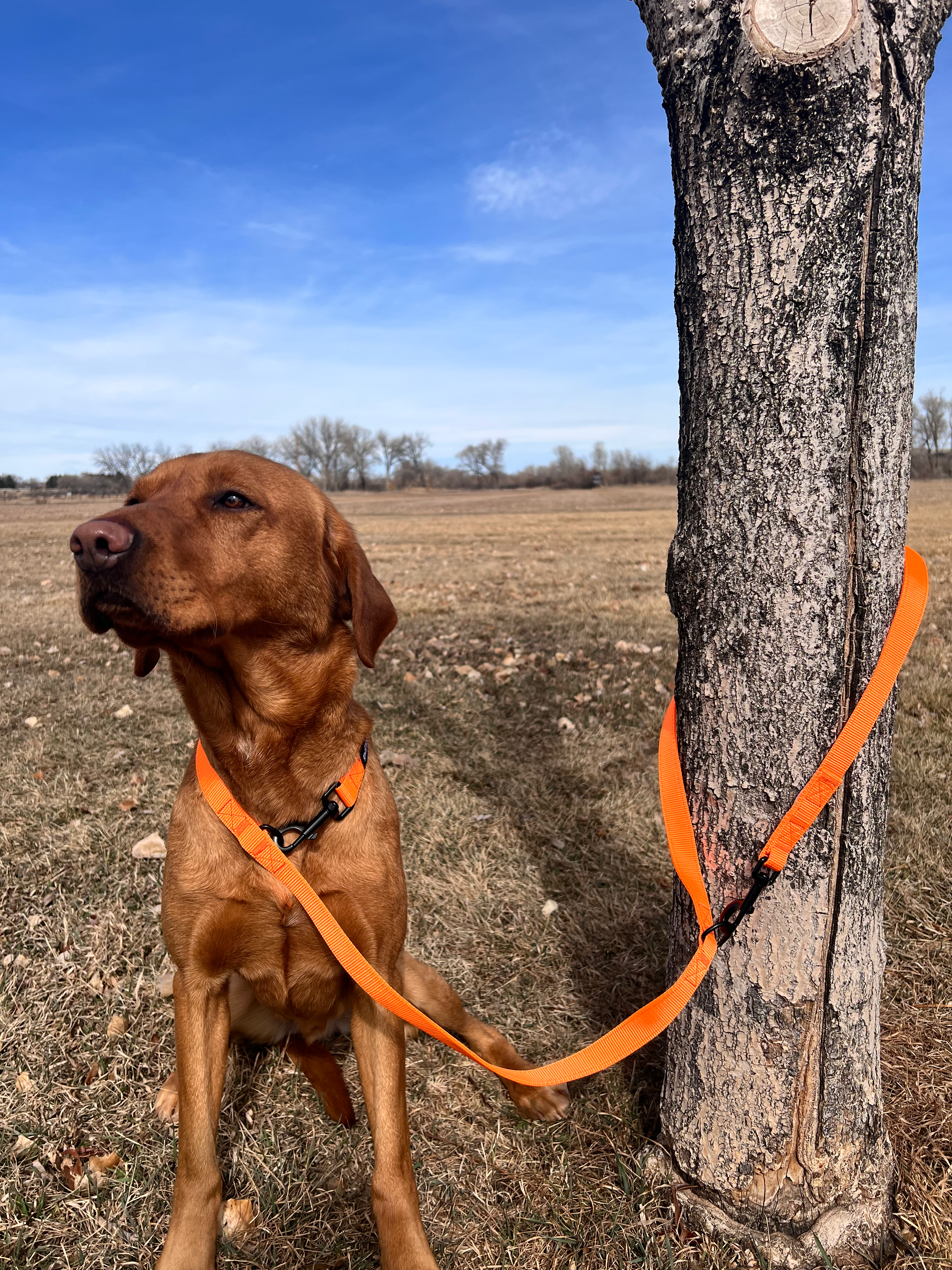 GunDog Outdoors