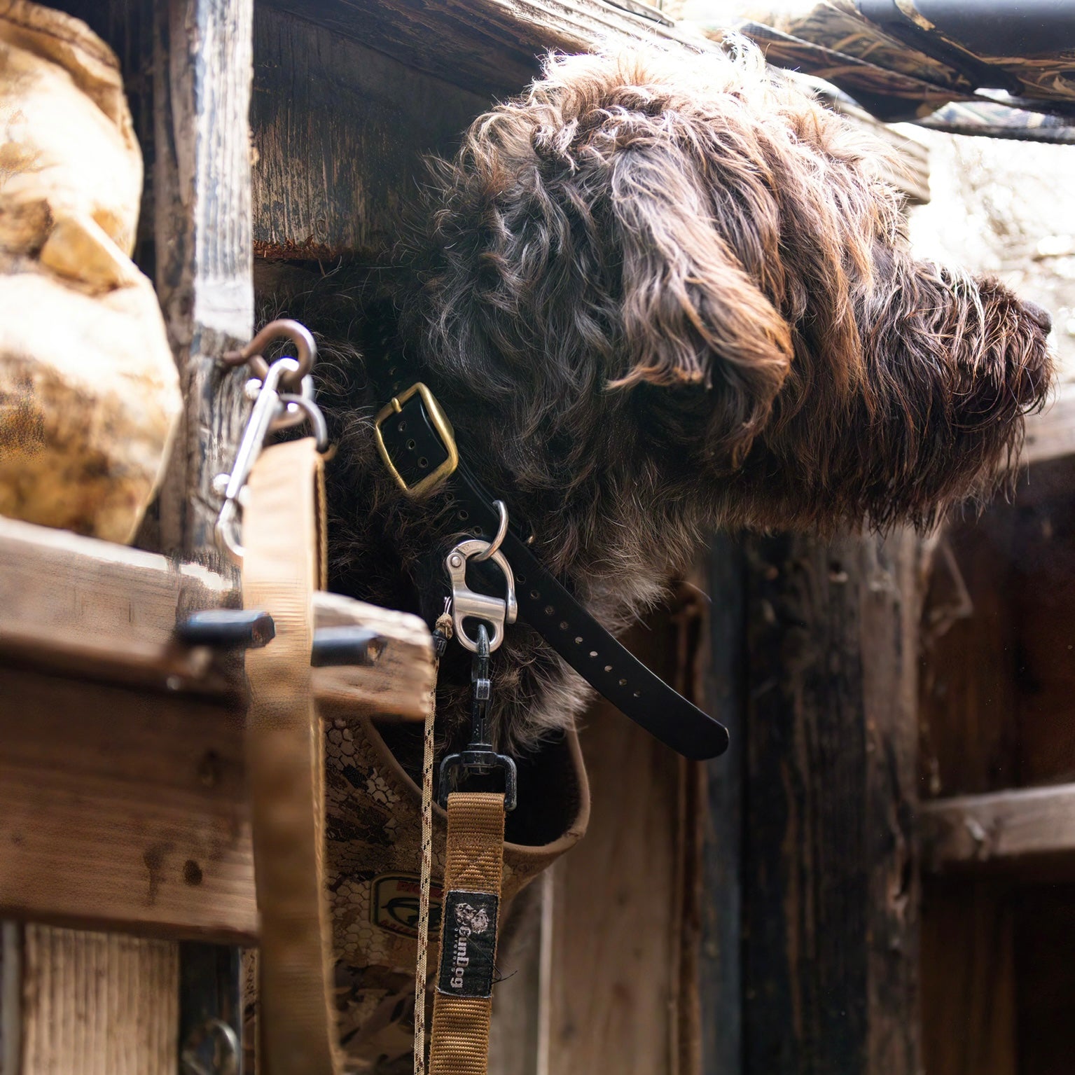 GDO Quick-Release Safety System