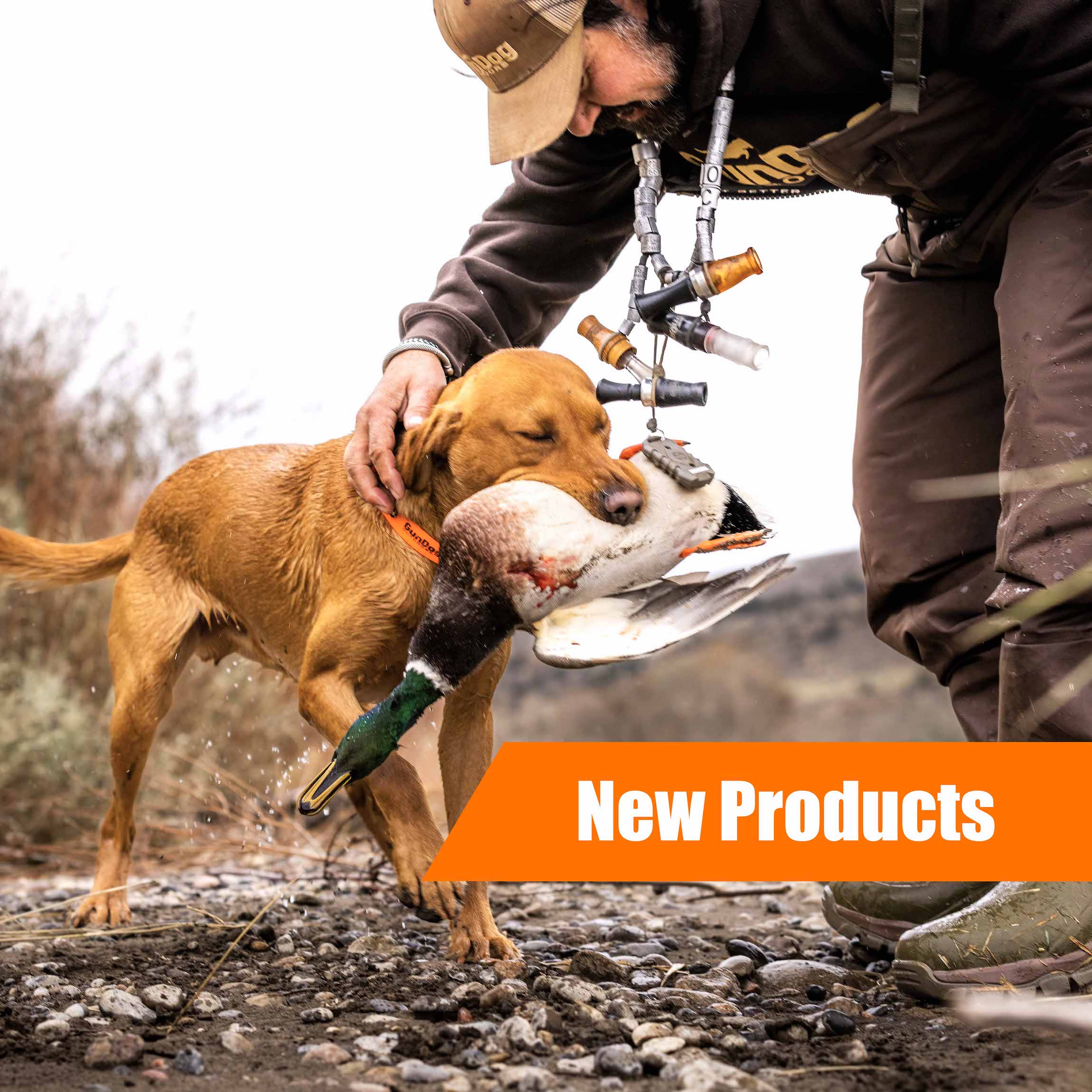 Hunting dog supplies GunDog Outdoors