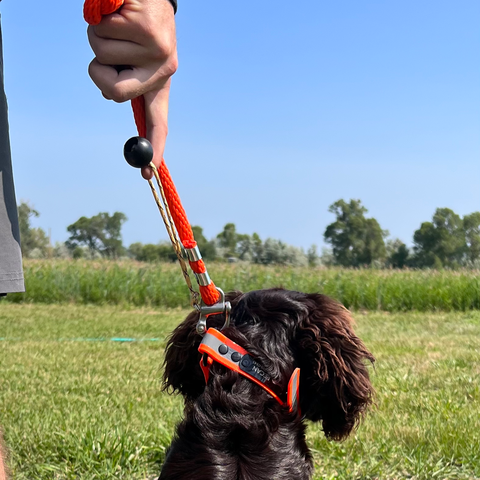 Quick-Release Check Cord