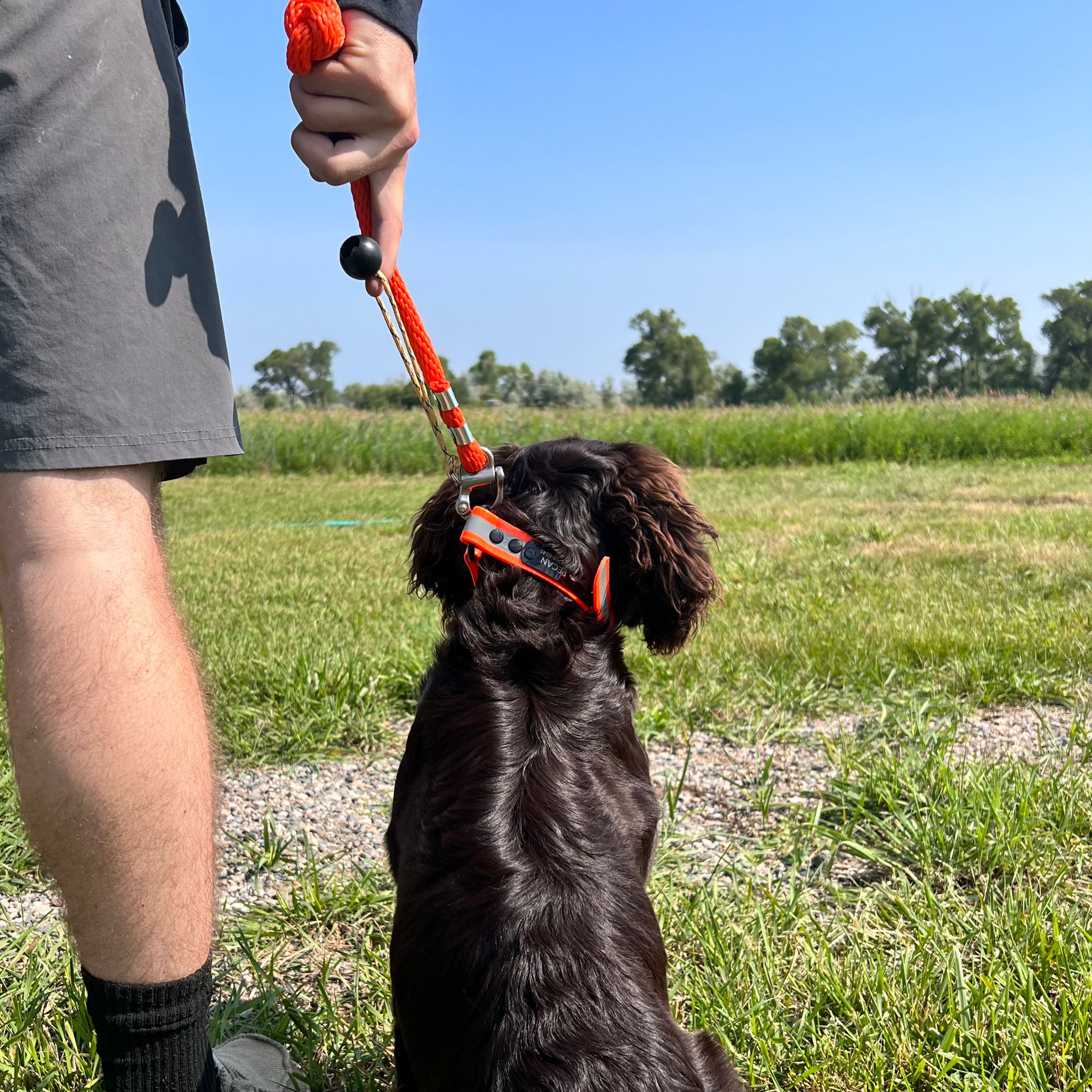 GDO Quick-Release Check Cord