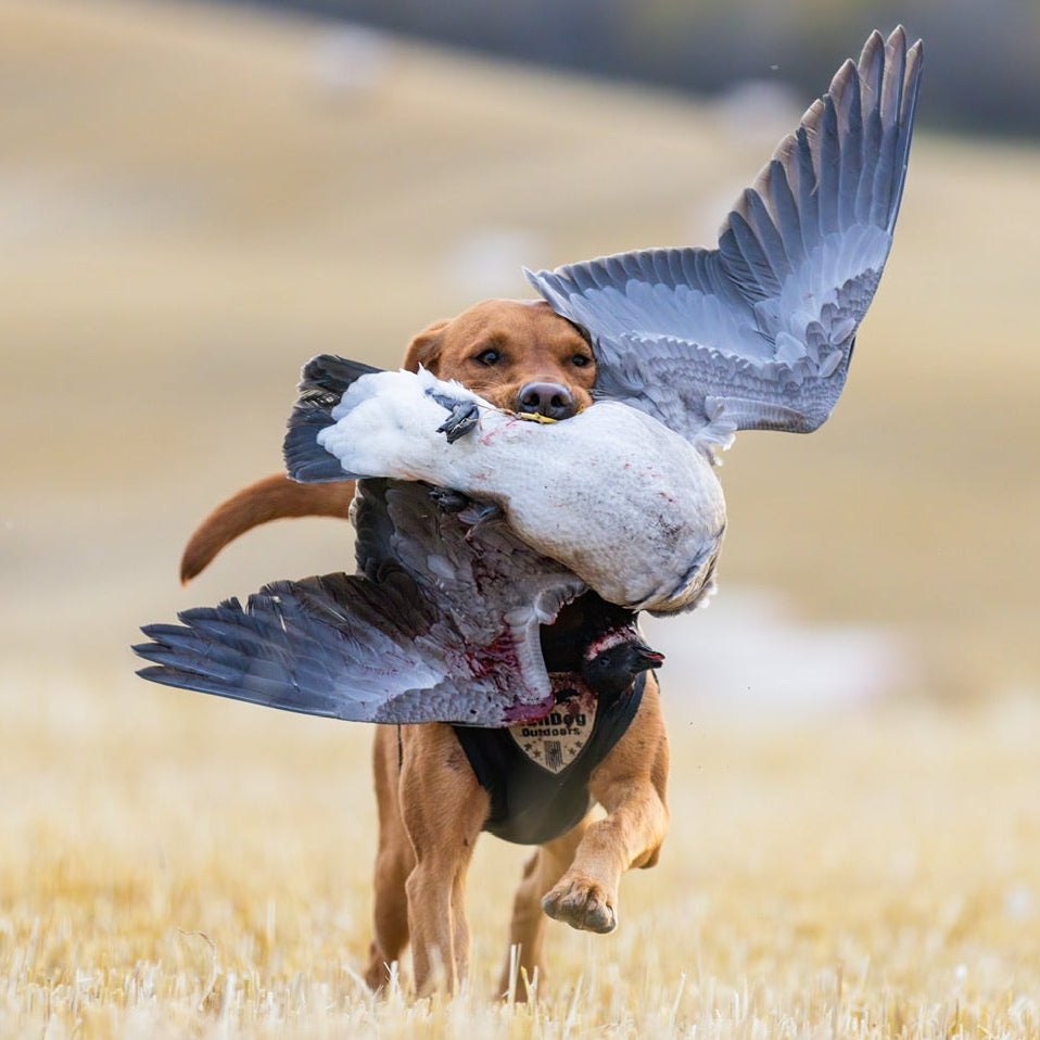 Waterfowl Defender Vest
