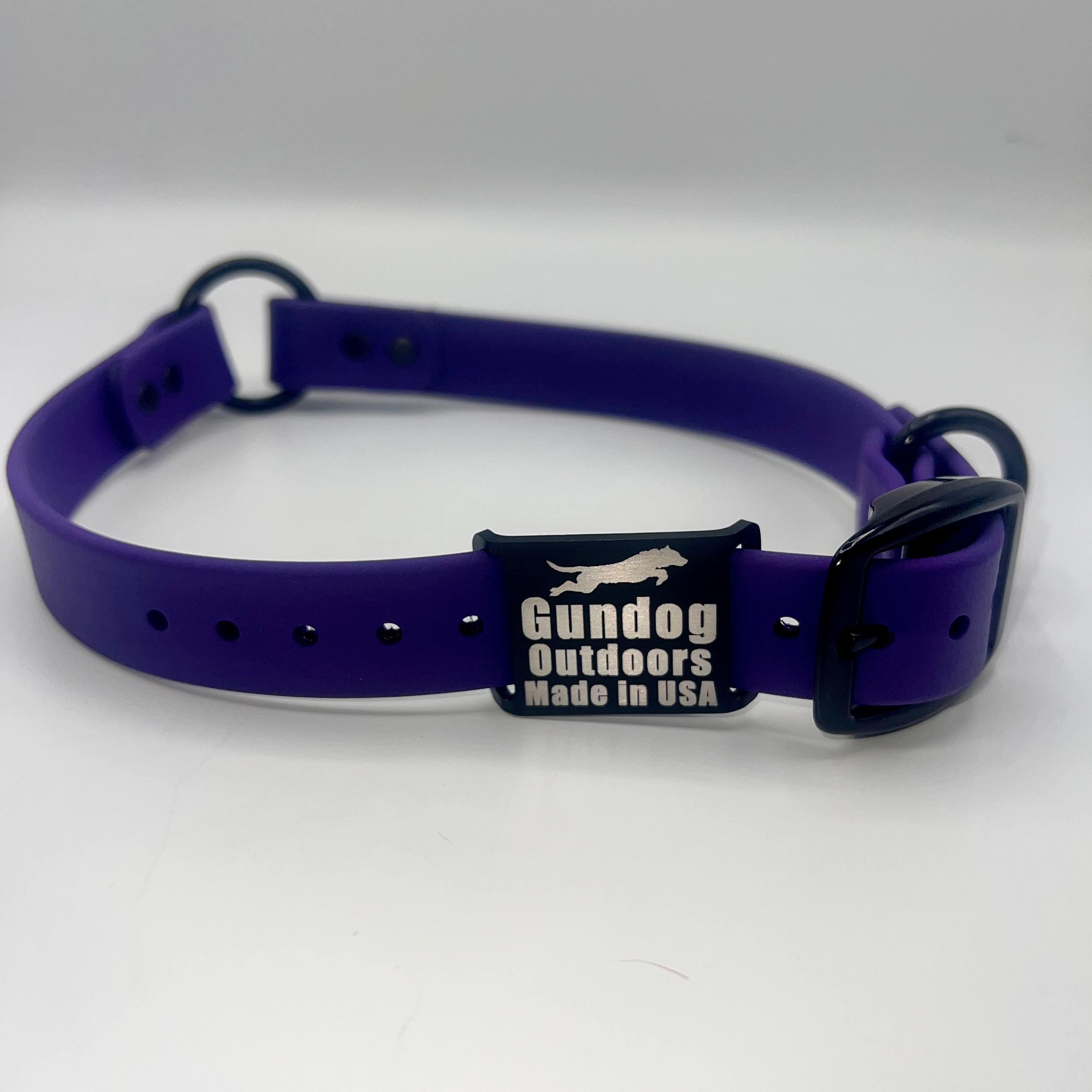 Royal Purple Collar w/Dawg Tag