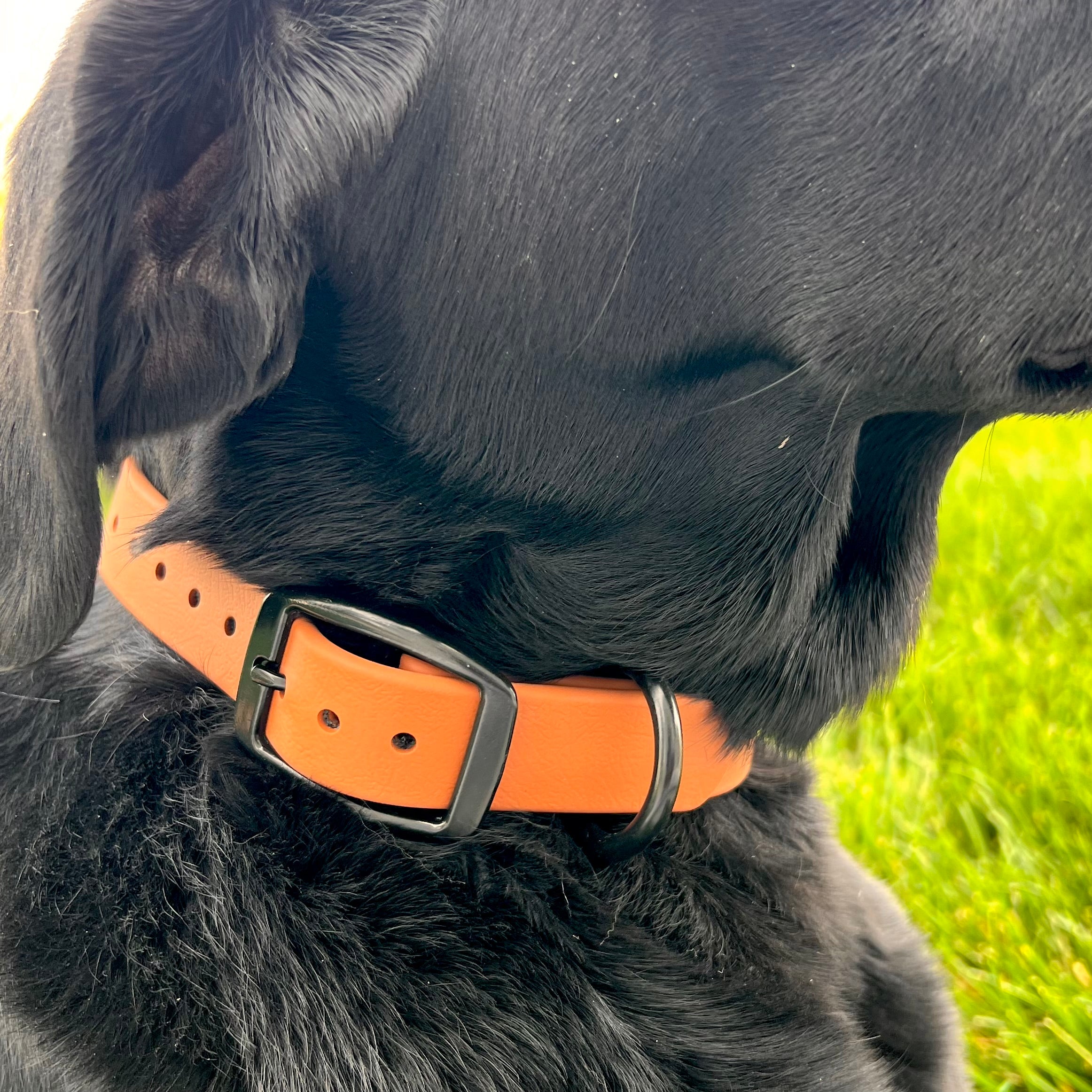 Saddle Brown Collar