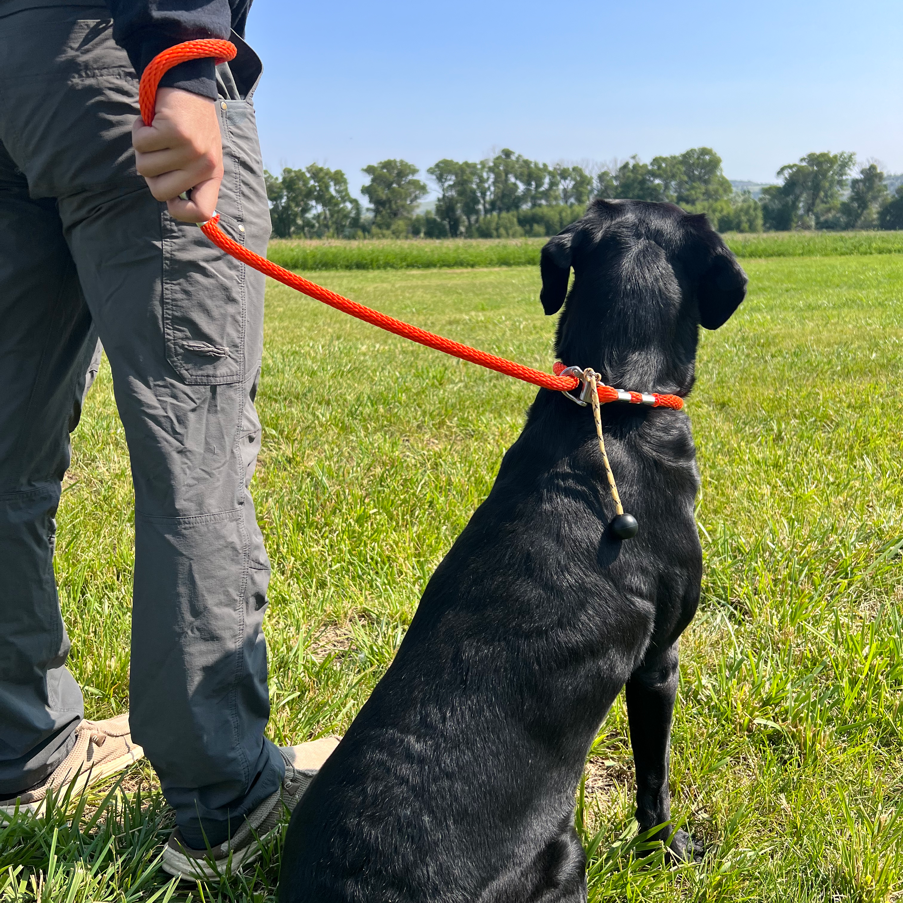 GDO Quick-Release Slip Lead