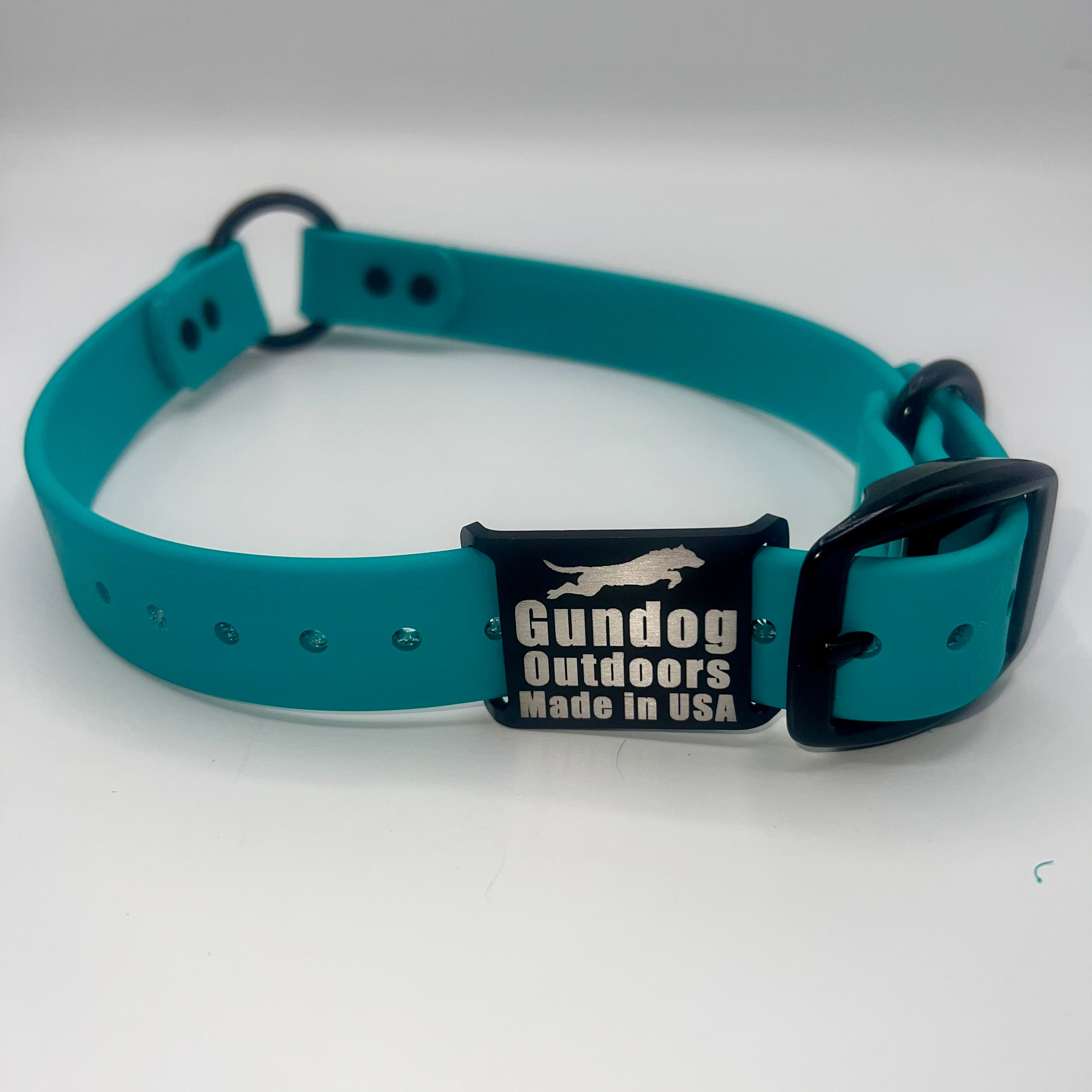 Teal Collar w/Dawg Tag