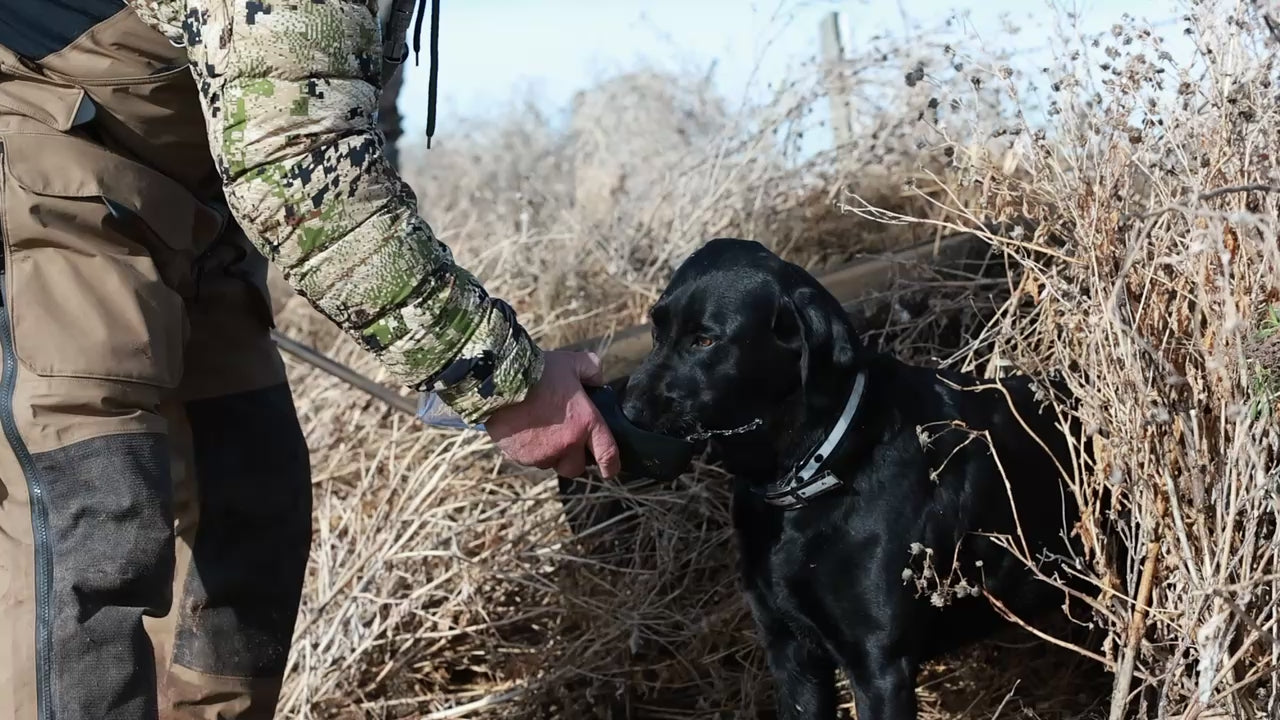 GunDog Water Bottle