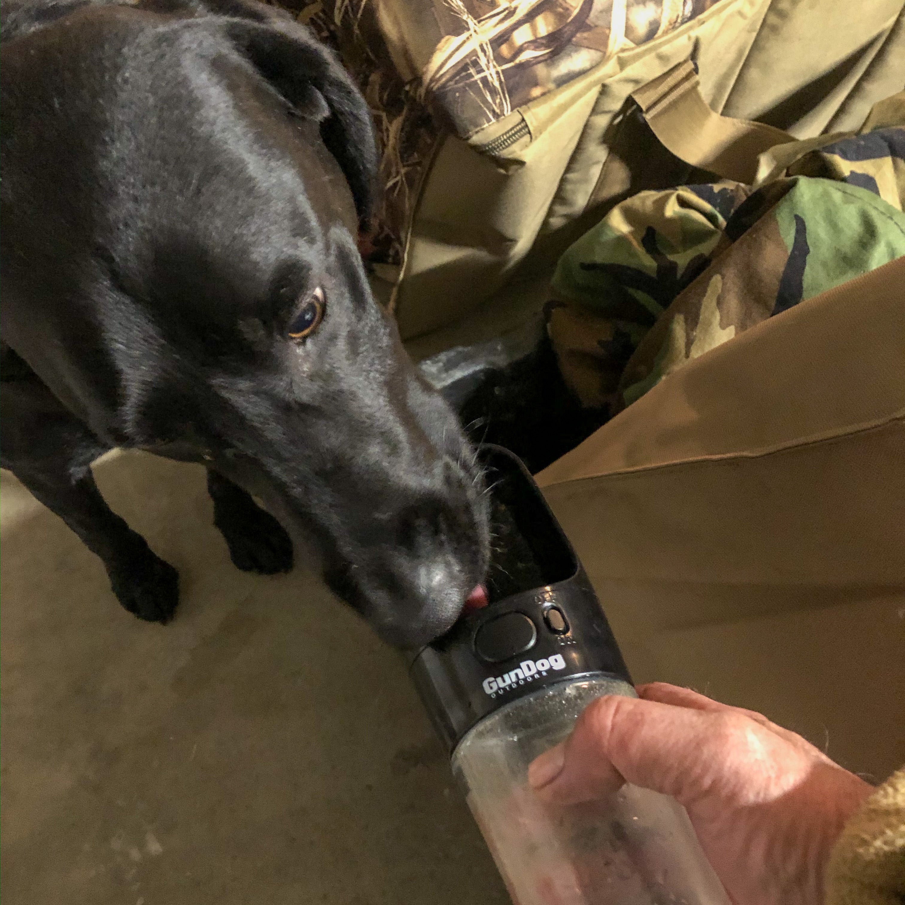 GunDog Water Bottle