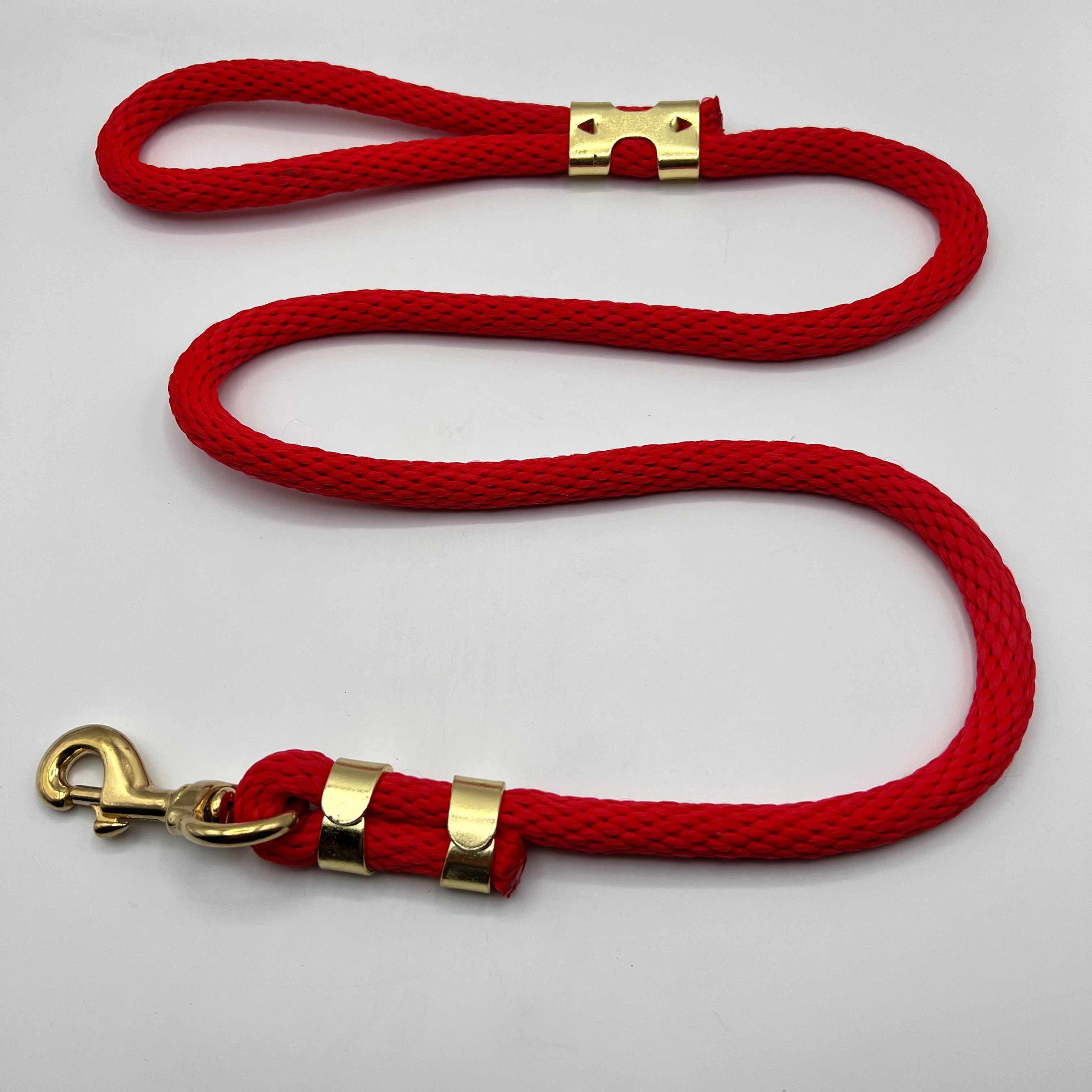 Leads/Rope
