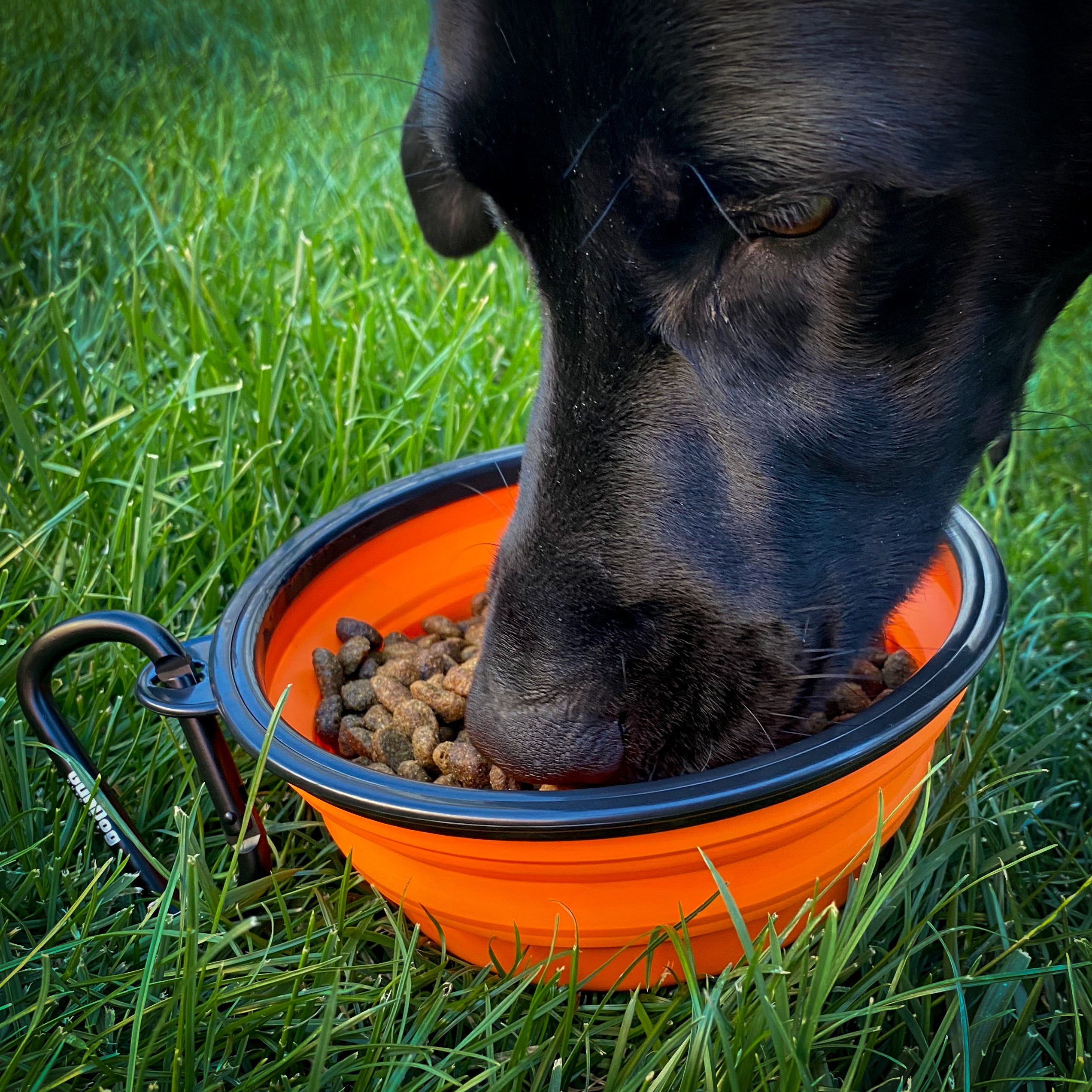 GunDog Outdoors