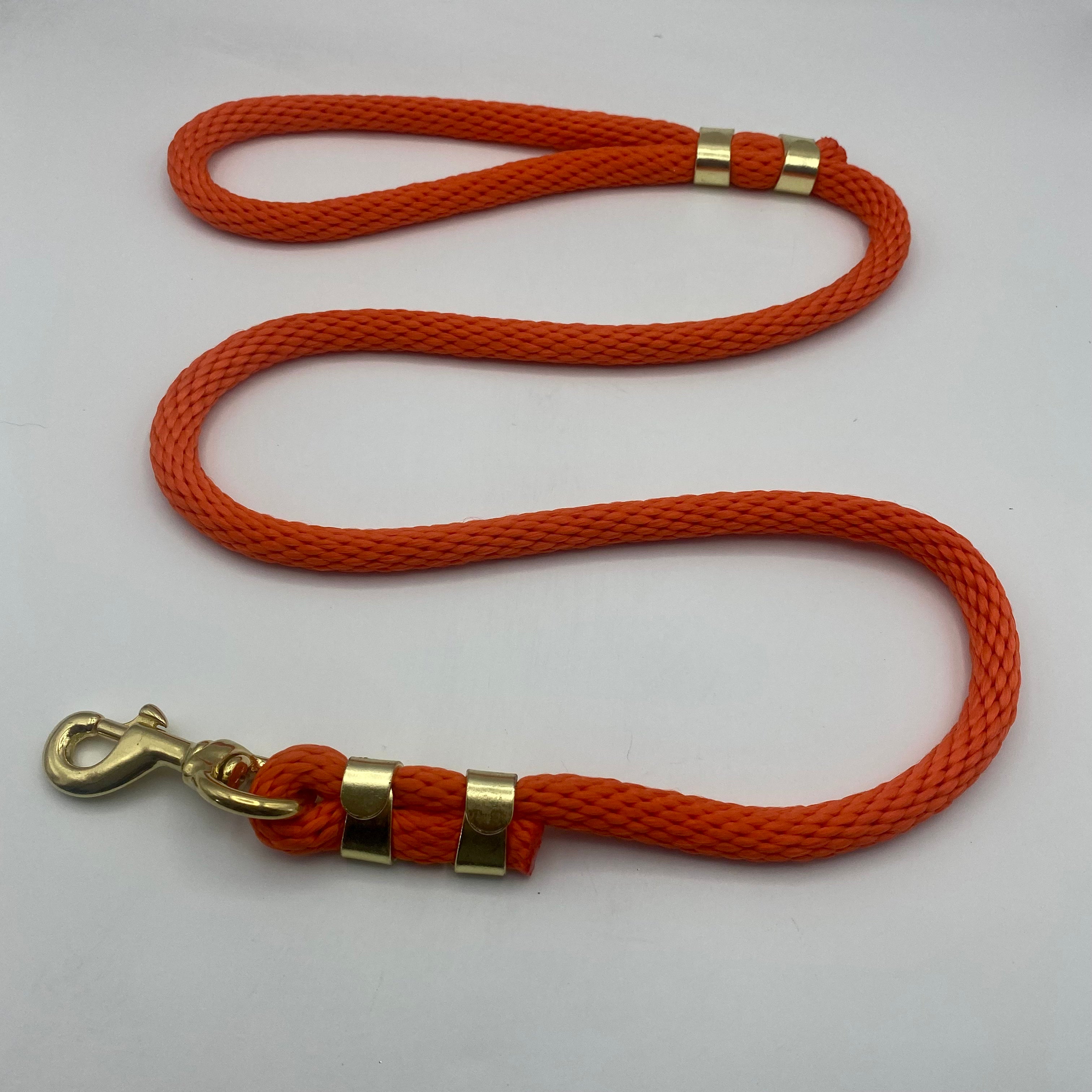 Leads/Rope